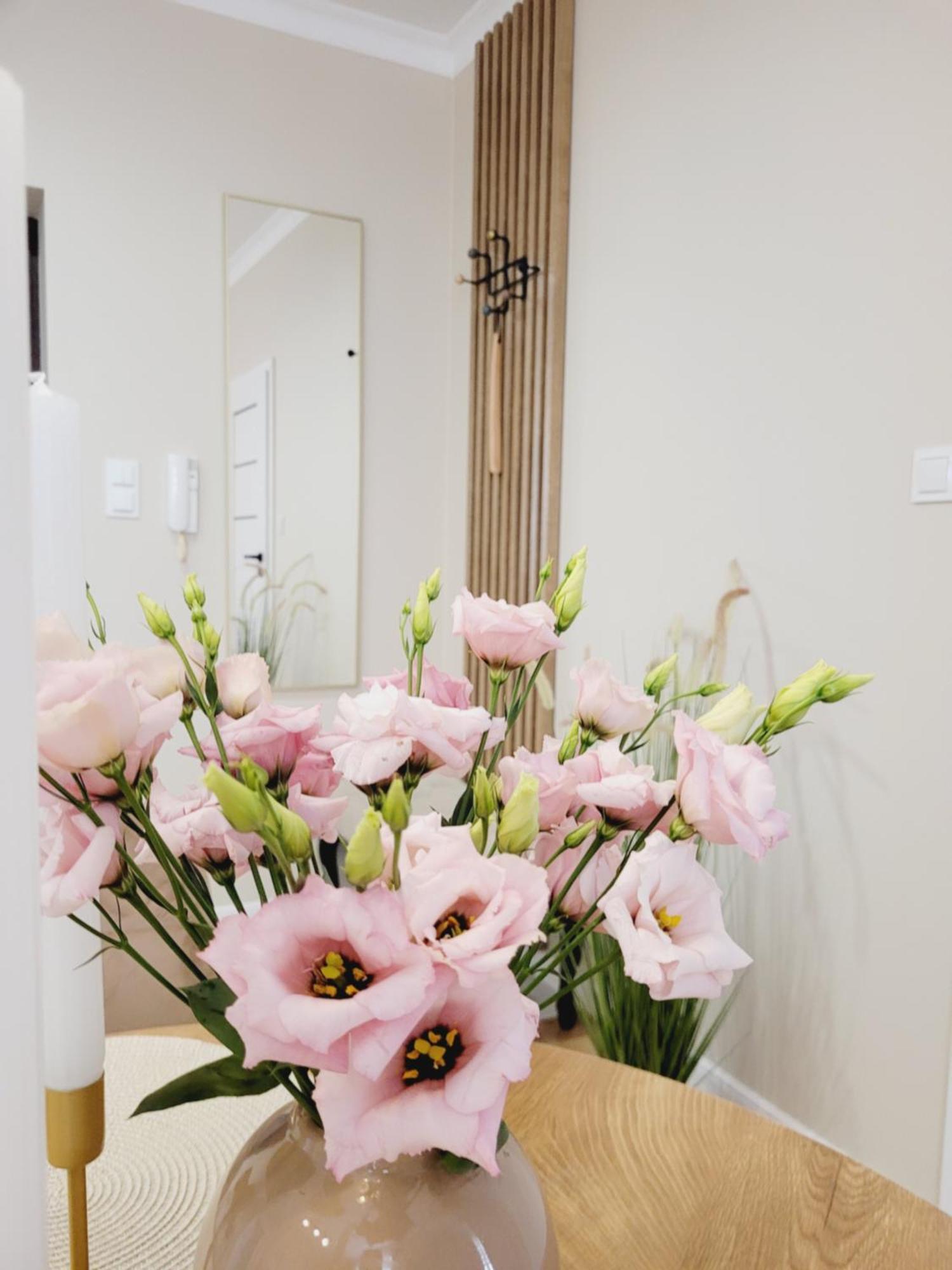 Apartmán Diamond Čenstochová
